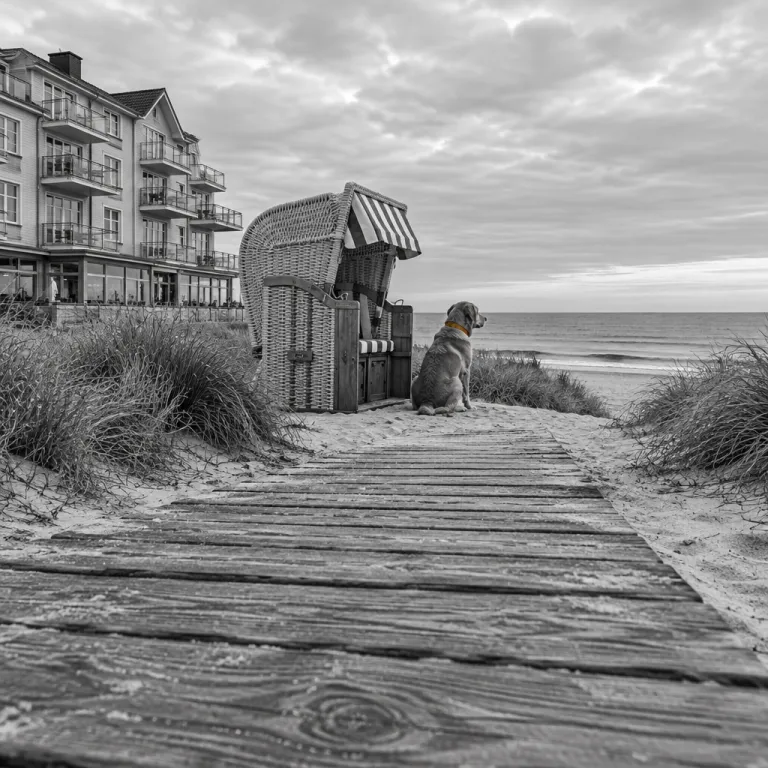 Elegante Auszeit im Hotel auf Borkum mit Hund: so gelingt Ihr Nordseeurlaub